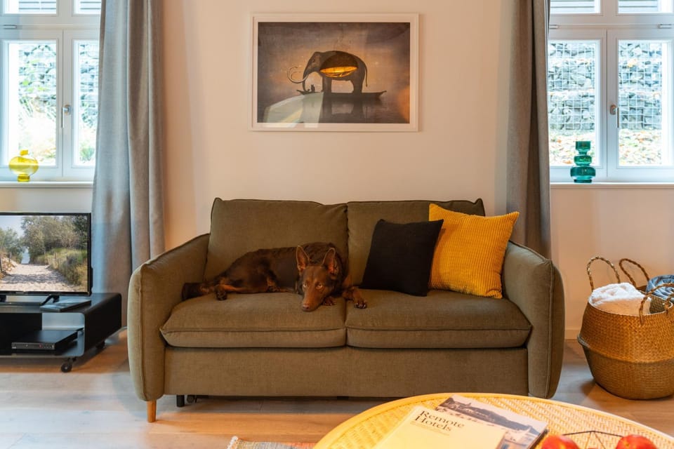 TV and multimedia, Living room, Seating area, Pets