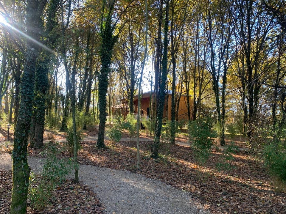 Natural landscape