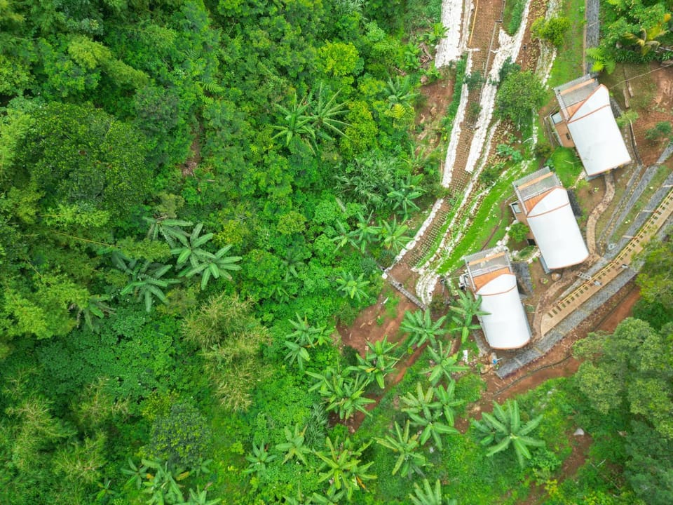 Selayang Olivehill - Kemewahan Glamping di Hutan Luxury tent in West Java