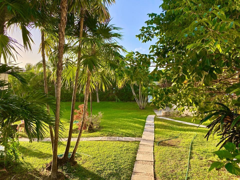 Day, Garden