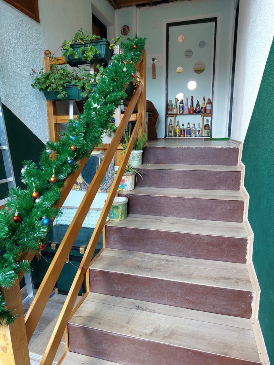 Аpartman ELENA Bed and Breakfast in Novi Sad