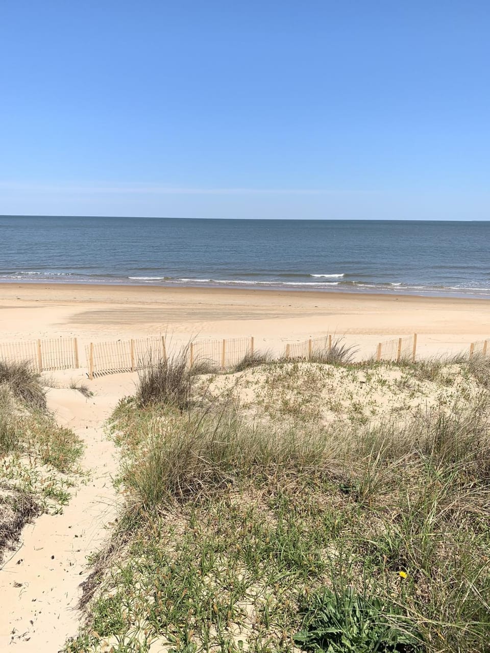Beach Side Studio #4 apts Apartment in Norfolk