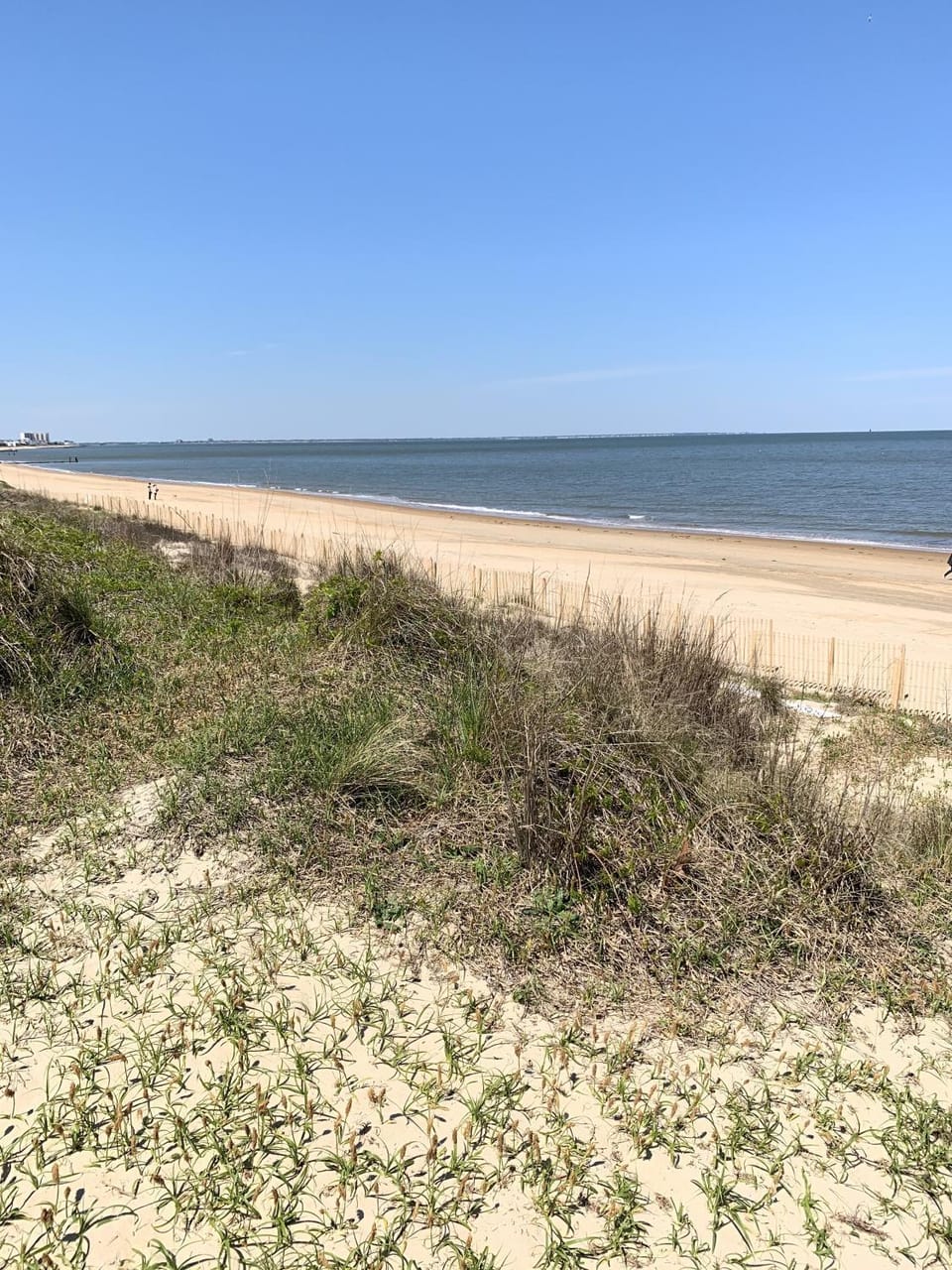 Beach Side Studio #4 apts Apartment in Norfolk