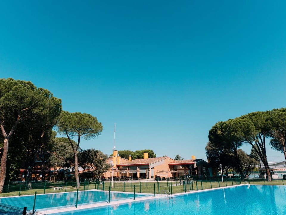 Day, Pool view, Swimming pool, sunbed