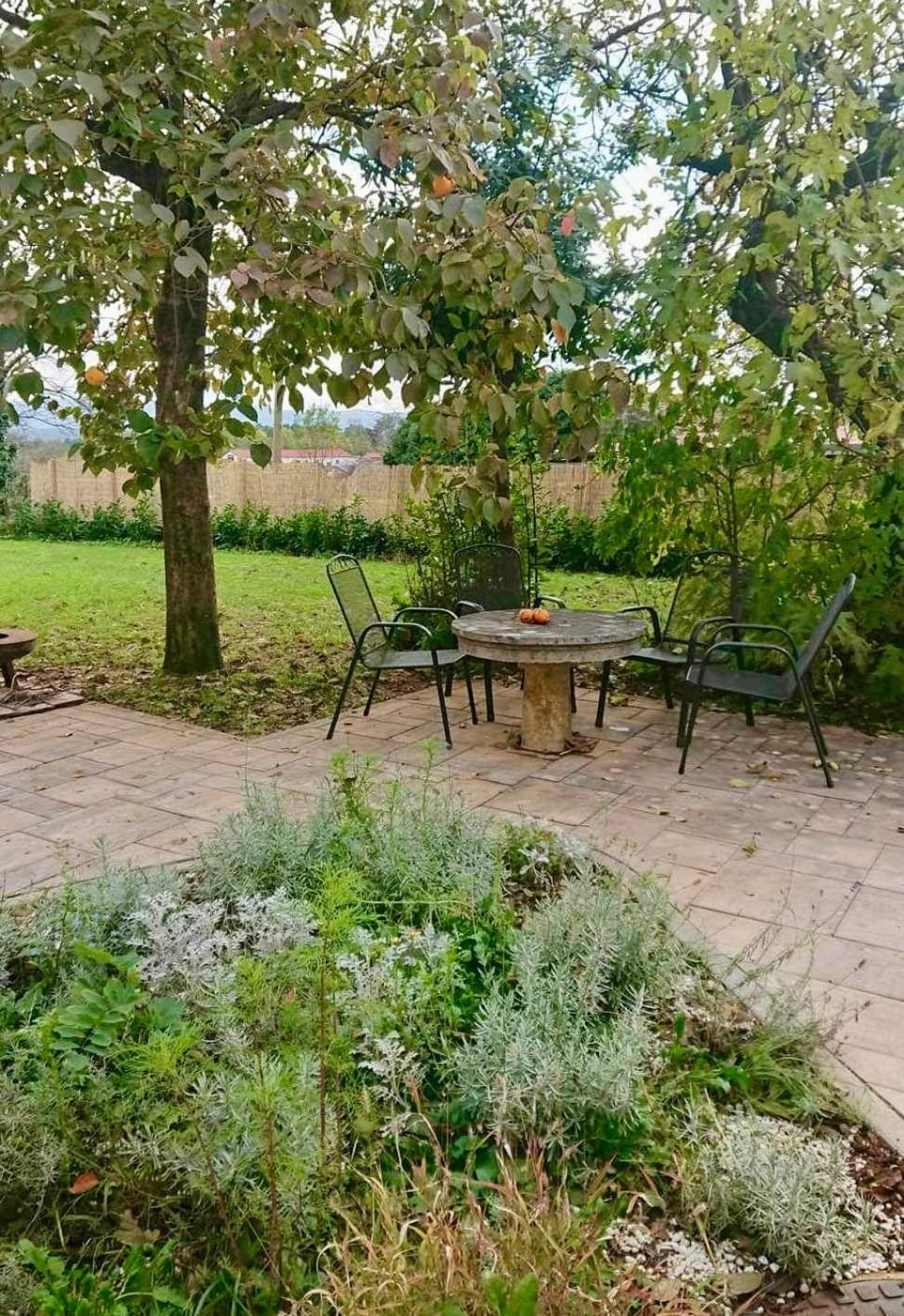 Garden view