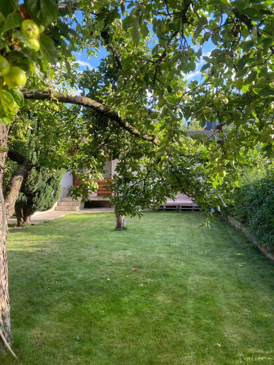 Deers Bed and Breakfast in Bansko