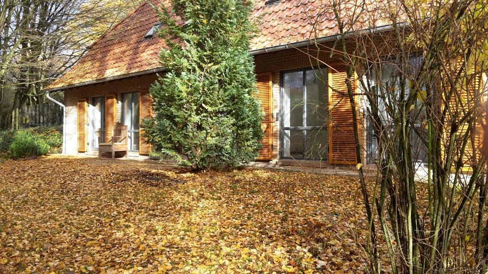 Garden, Balcony/Terrace