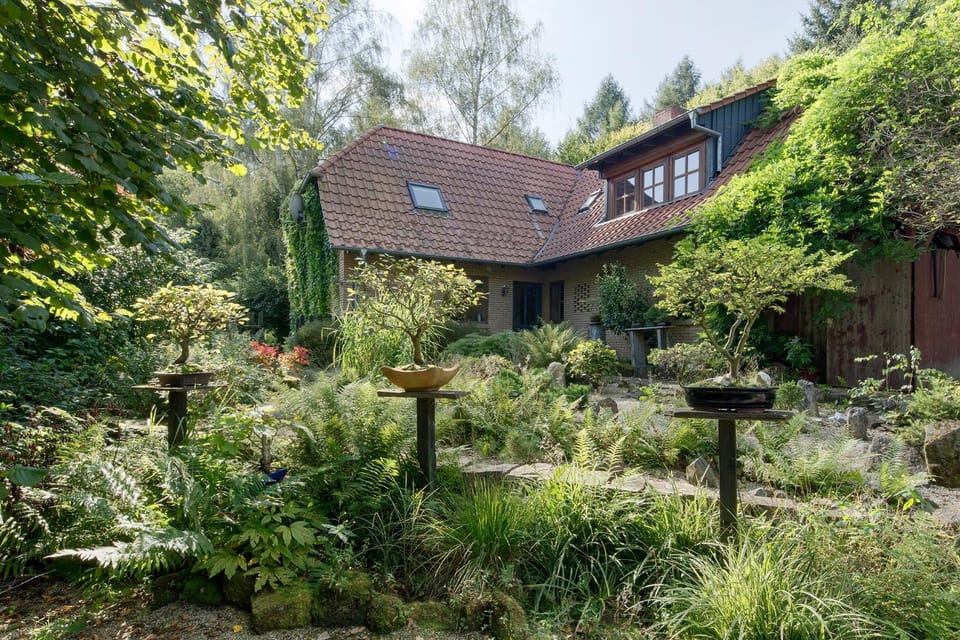 Property building, Spring, Day, Garden, Garden view