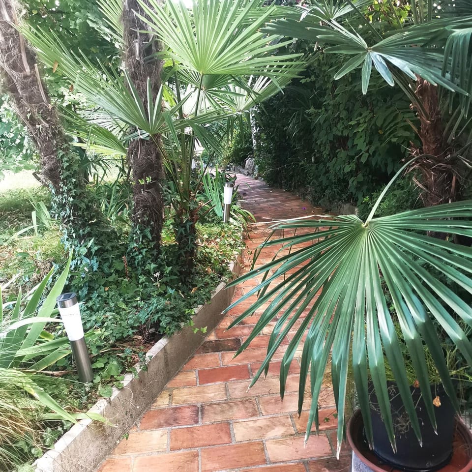 Garden, Garden view