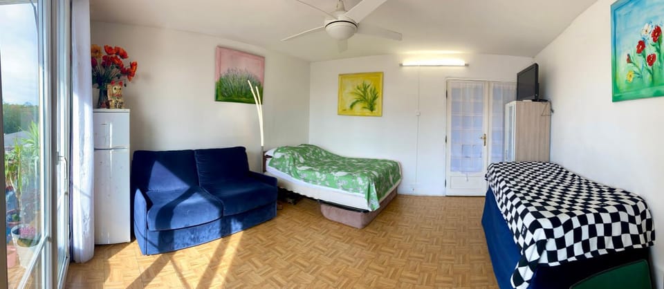 Big apartment 10 minuits from Notre Dame de Paris Apartment in Île-de-France