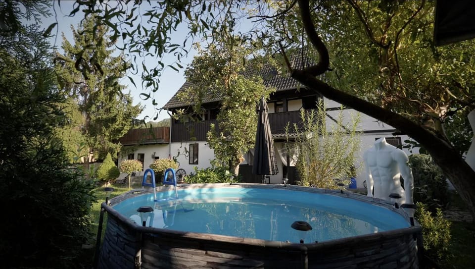 Day, Garden, Swimming pool, Swimming pool