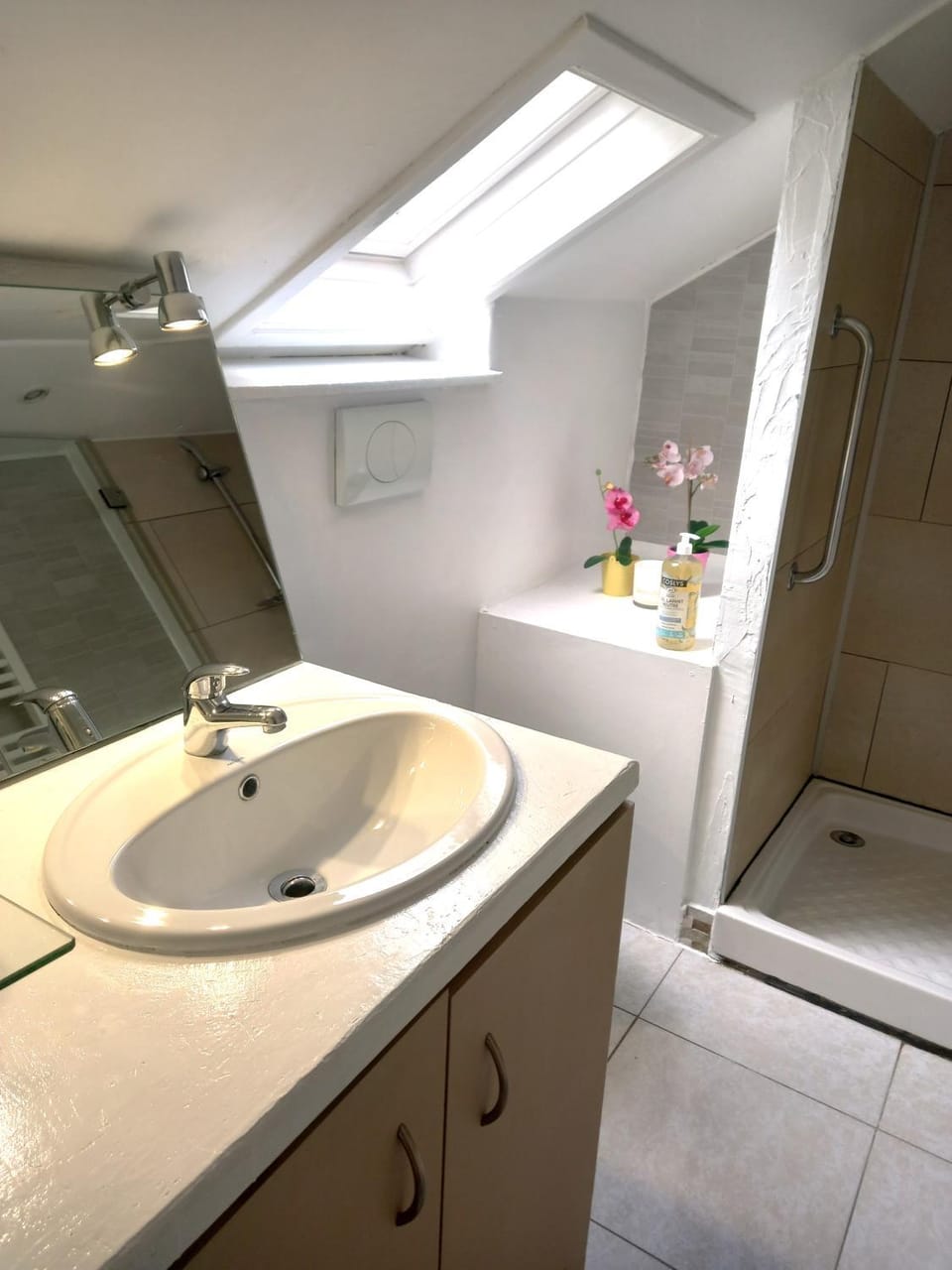 Shower, Bathroom
