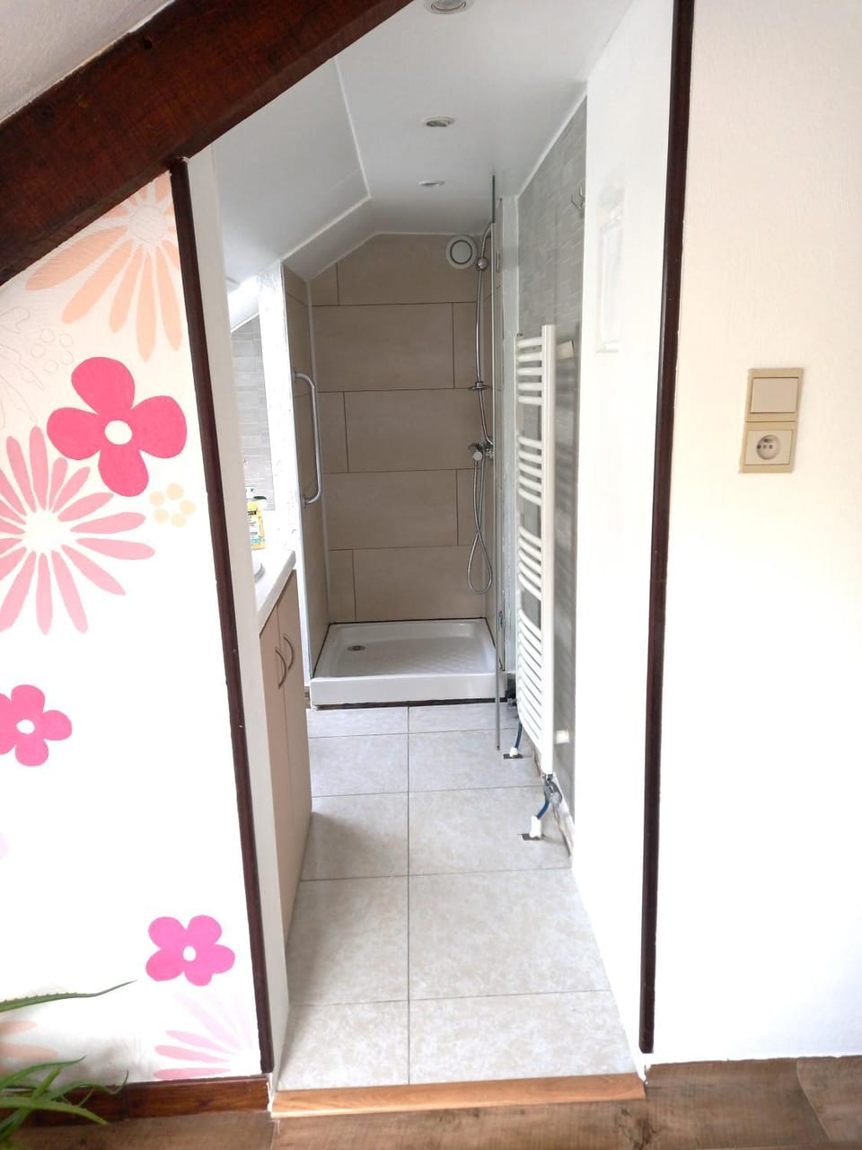 Shower, Bathroom