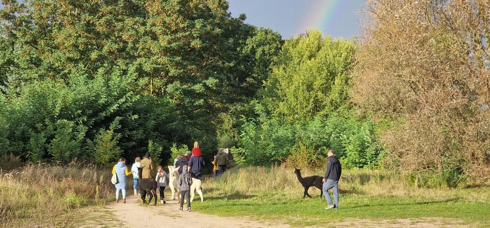 Activities, Animals, Pets, Entertainment