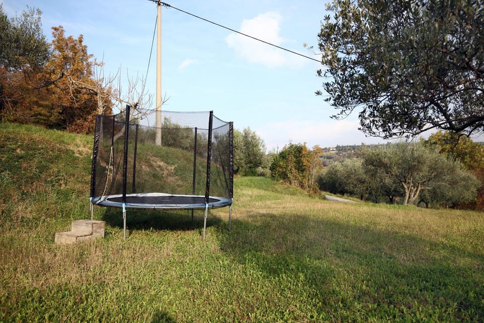 Natural landscape, Garden, Garden, Garden view