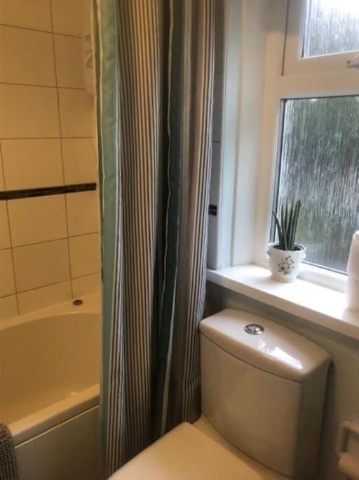 Cosy terrace cottage built into the mountain side. House in Wales