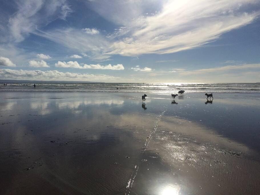 Cosy terrace cottage built into the mountain side. House in Wales
