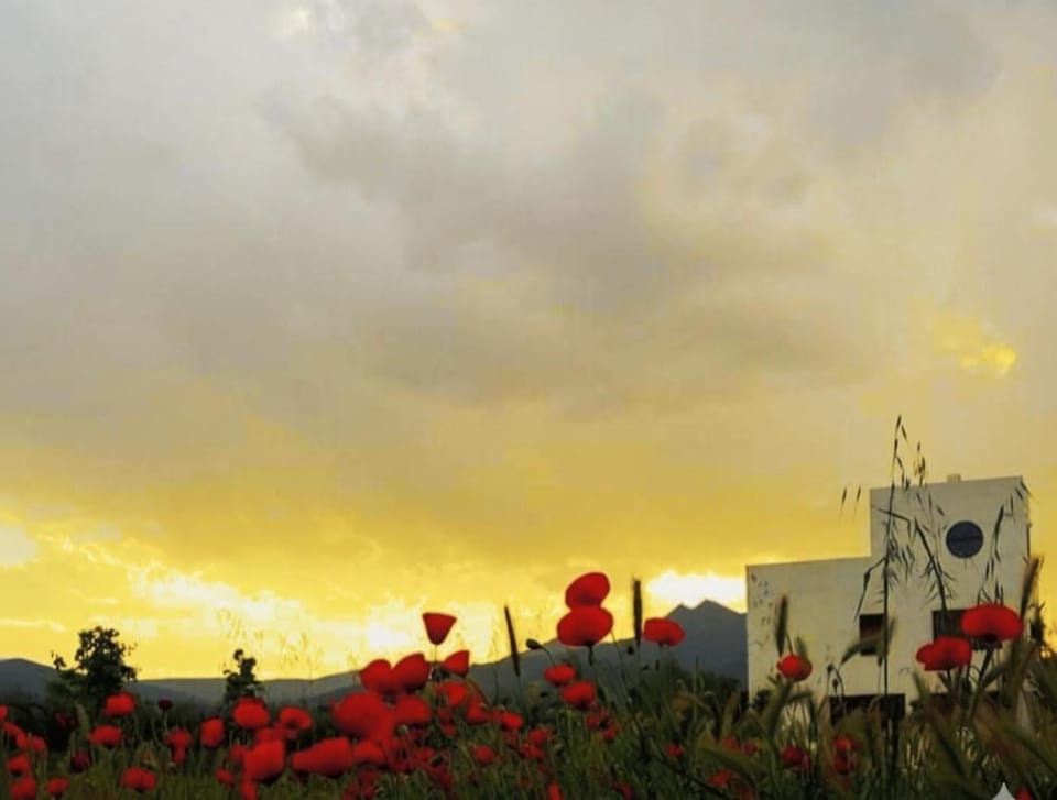 Casa La Poza House in Region of Murcia