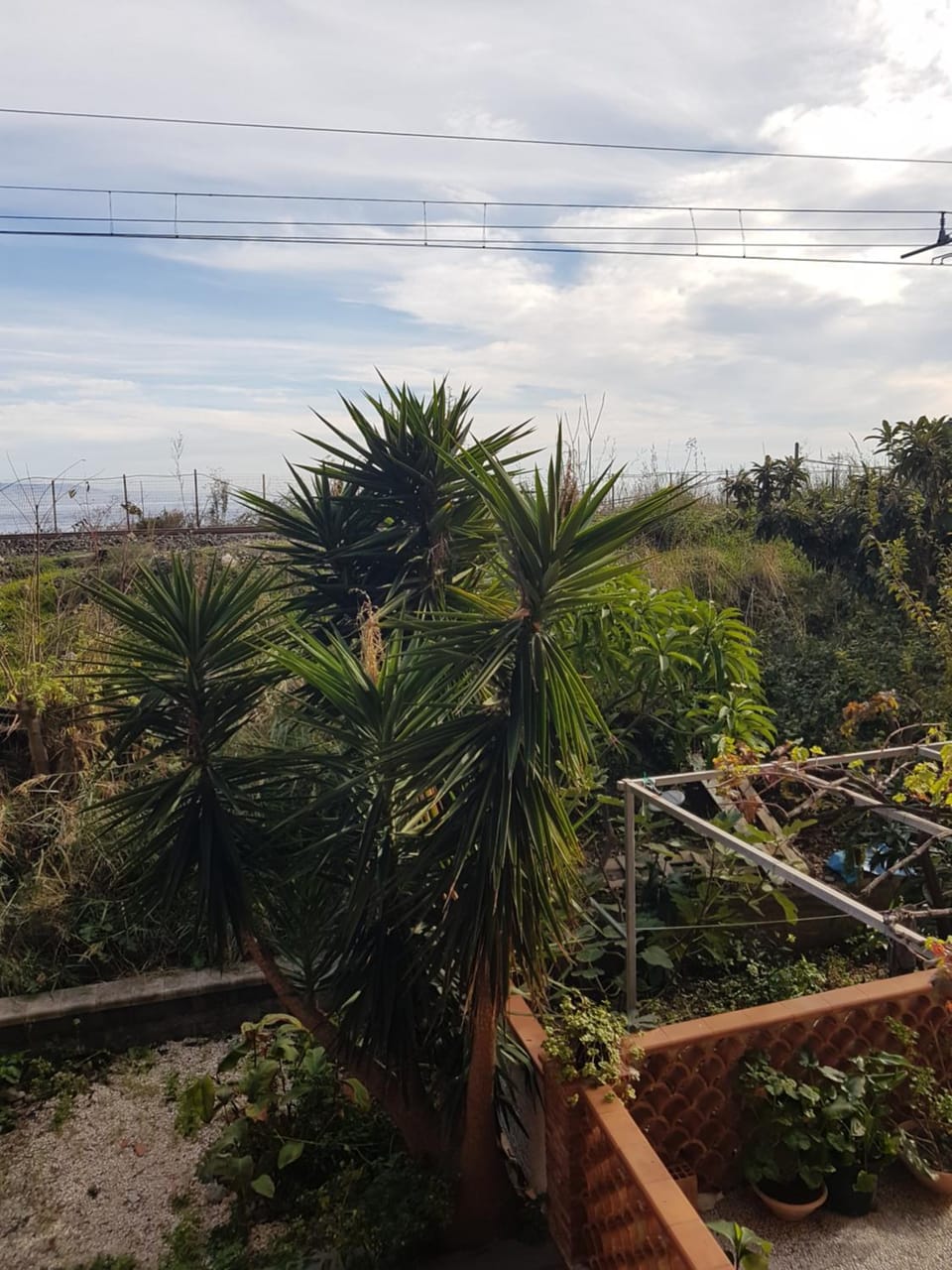 Property building, Garden, Garden view