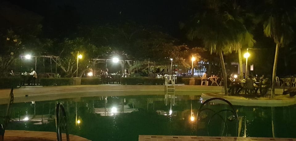 Garden, Pool view, Swimming pool