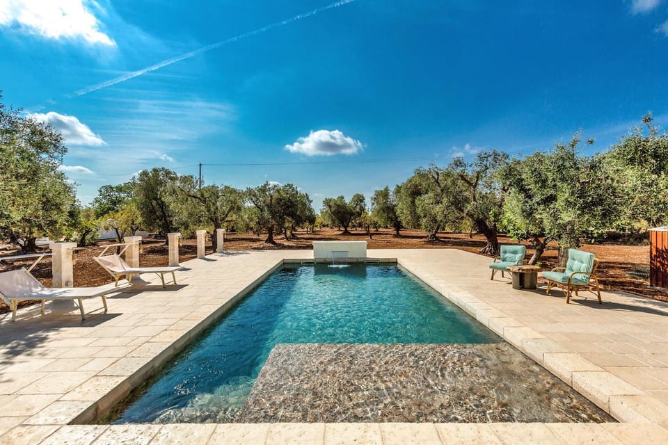 Garden, Swimming pool, sunbed