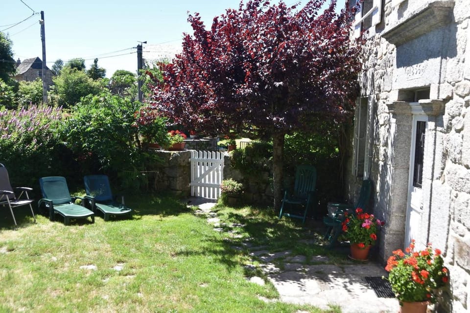 Patio, Garden, Garden view