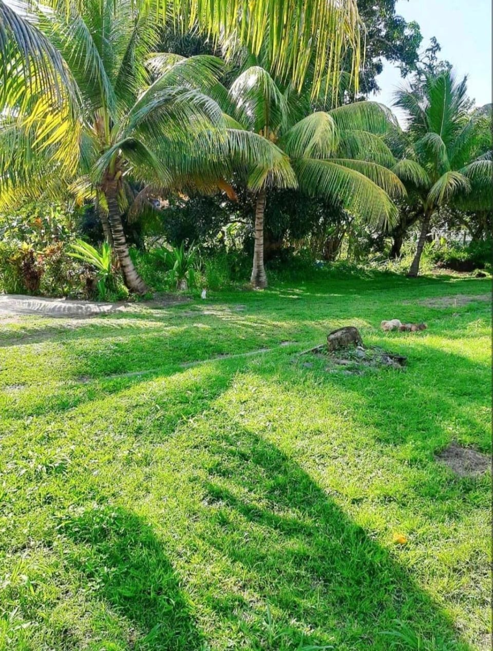 Spacieux haut de villa avec terrasse et jardin Villa in Les Abymes