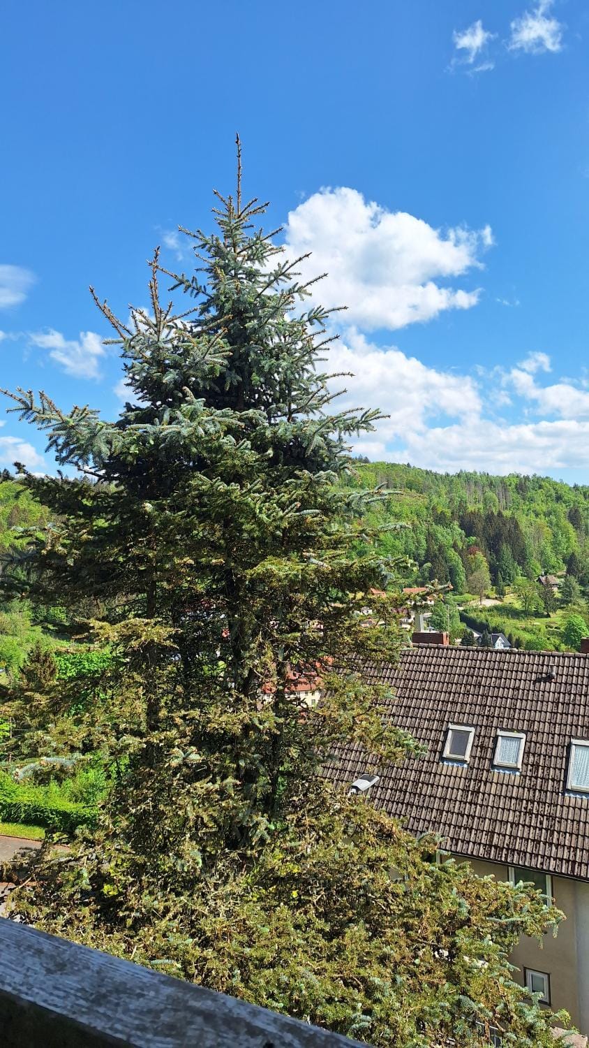 Haus Westharz Goslar Apartment in Lower Saxony, Germany