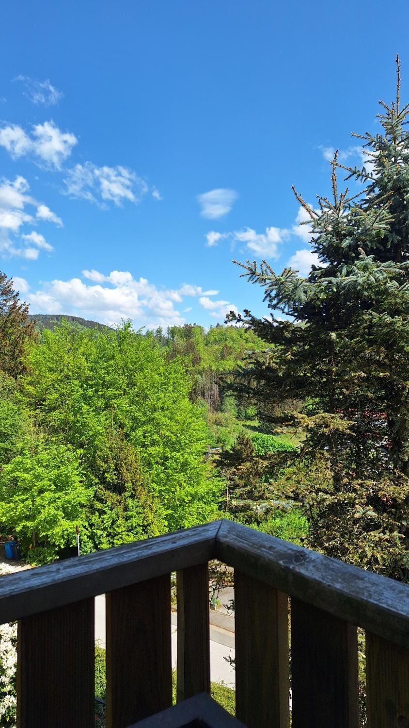 Haus Westharz Goslar Apartment in Lower Saxony, Germany