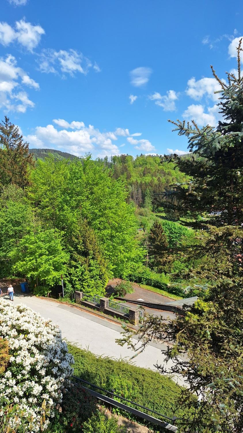 Haus Westharz Goslar Apartment in Lower Saxony, Germany