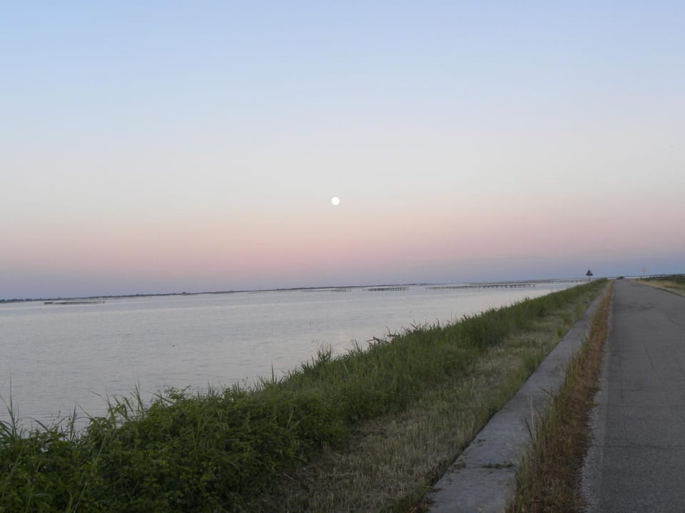 Natural landscape