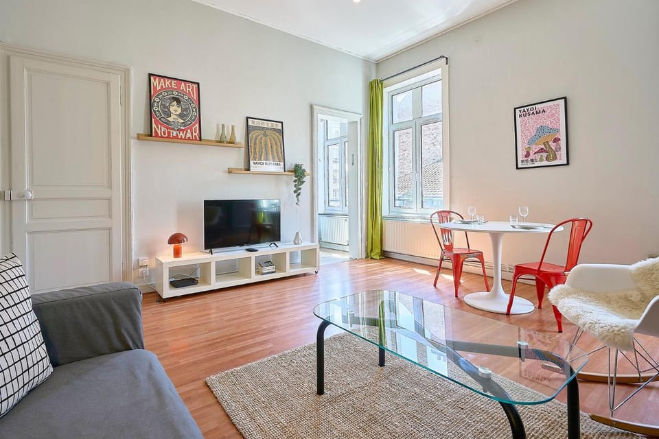 Joli appartement une chambre en hypercentre Apartment in Lille