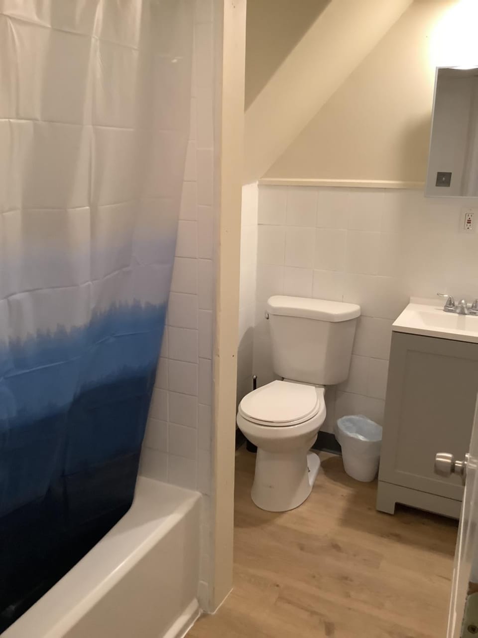 Toilet, Bathroom