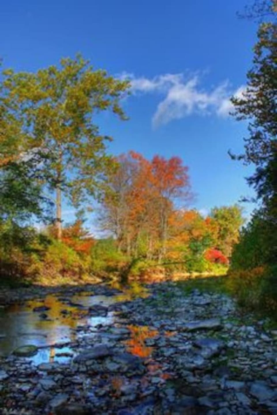 Nearby landmark, Natural landscape
