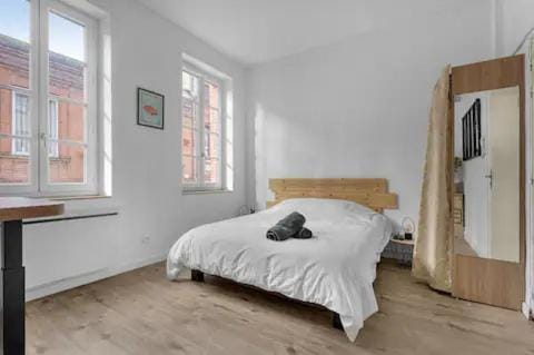 Charme Toulousain - Hyper centre - Proche Métro Apartment in Toulouse