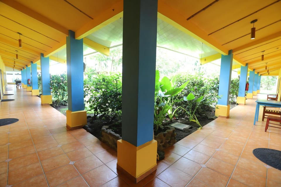 Property building, Patio, Balcony/Terrace