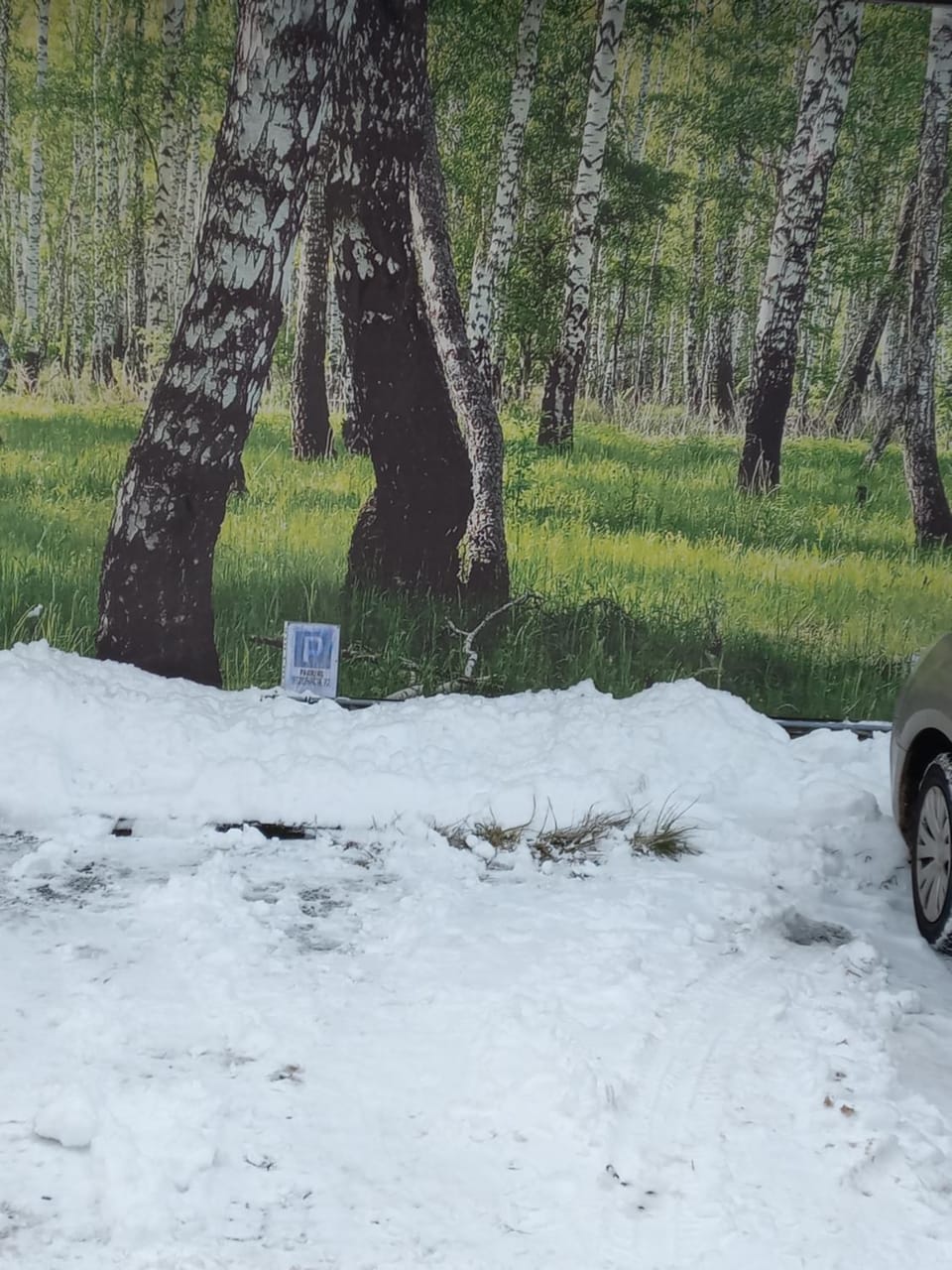 Winter, Parking