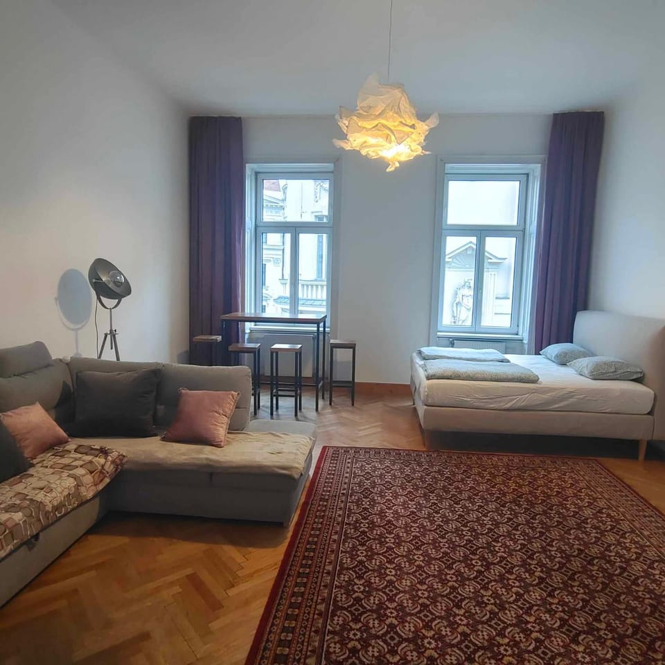 Large 4 room apartment in the center of Vienna Apartment in Vienna
