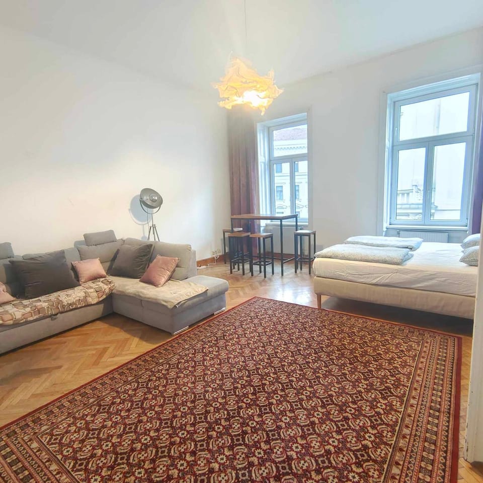 Large 4 room apartment in the center of Vienna Apartment in Vienna