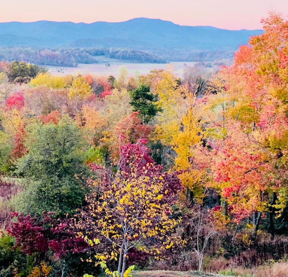 Autumn