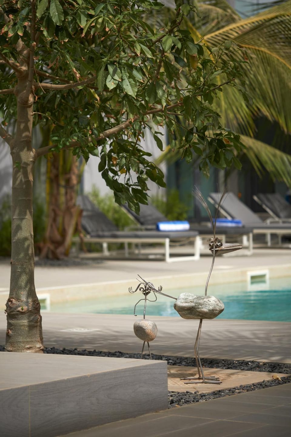 Day, Pool view, Swimming pool