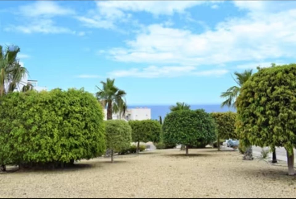 Sun shine Apartment in Andalusia