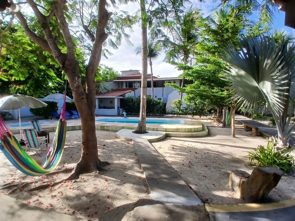 Garden, Swimming pool