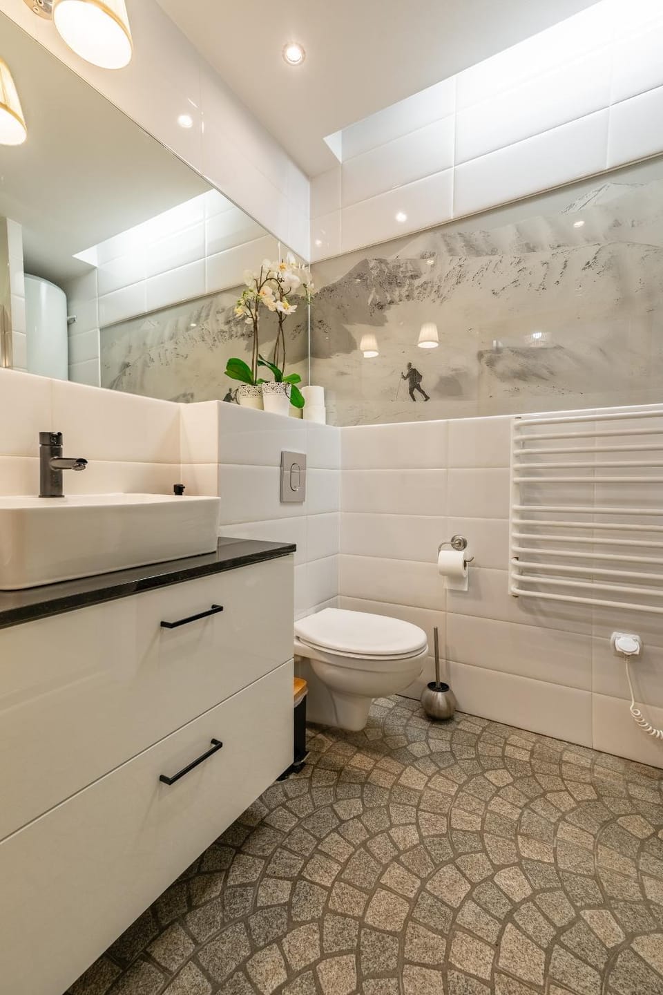 Toilet, Bathroom