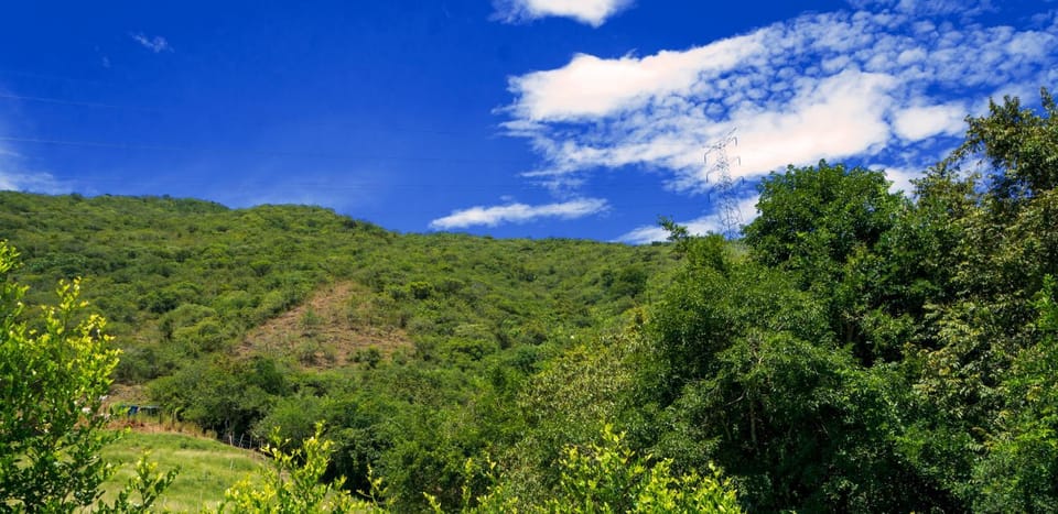 Mountain view
