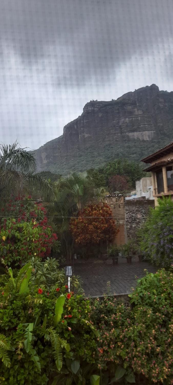 Casa Sauces Vacation rental in Tepoztlan