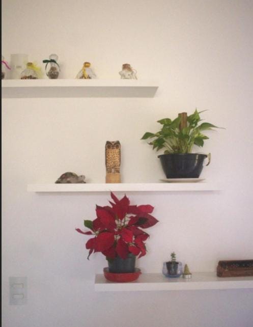 Apartamento de Praia Apartment in Florianopolis