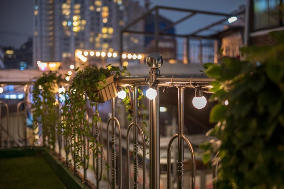 Property building, Night, Garden, Garden view