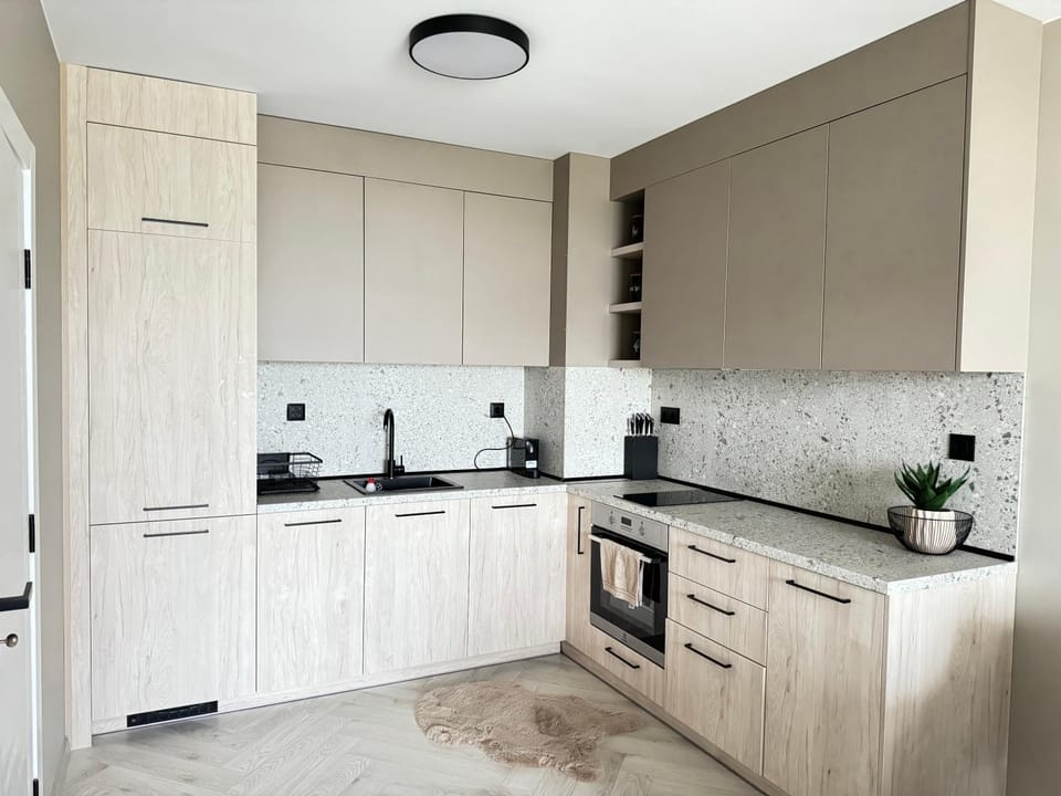 Kitchen or kitchenette, dishwasher
