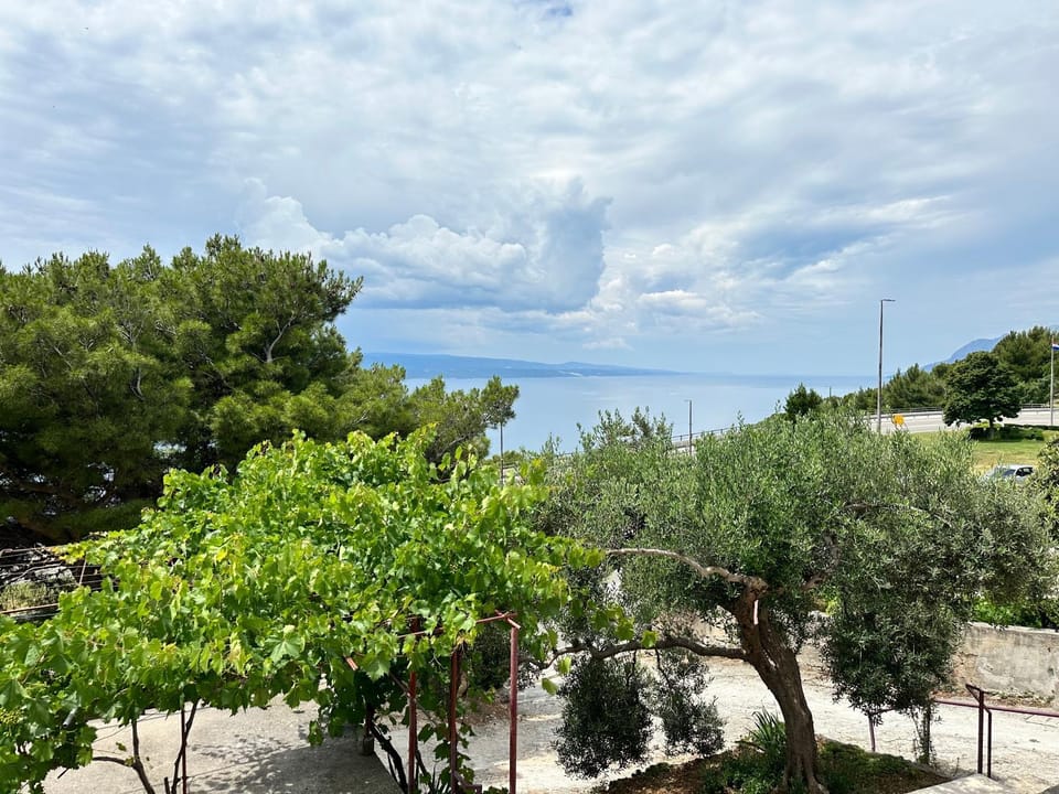 Day, Natural landscape, Garden view, Mountain view, Sea view